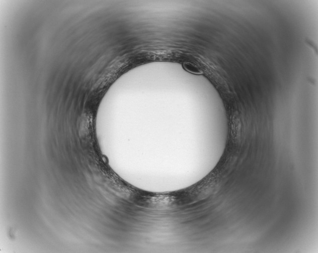 X0000101420225200807280945