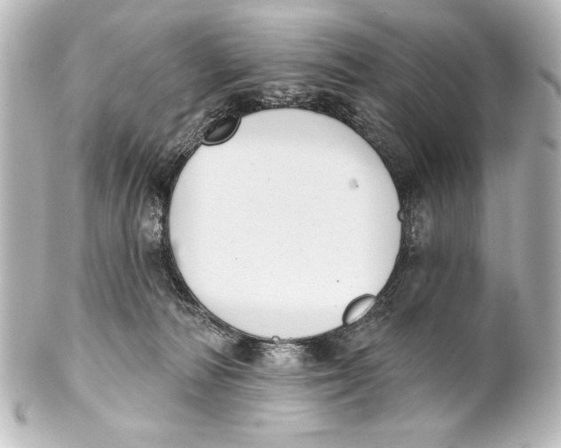 X0000101420226200807280945