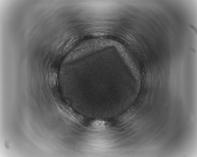 X0000101420227200807280945