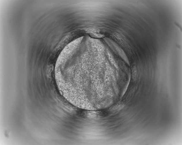 X0000101420229200807280945