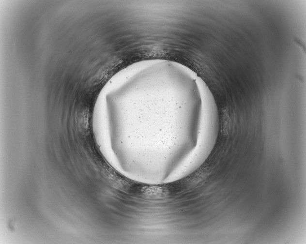 X0000101420230200807280945