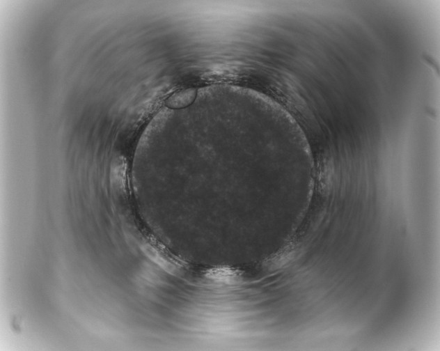 X0000101420231200807280945
