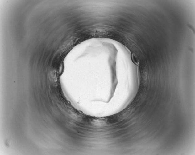 X0000101420232200807280945