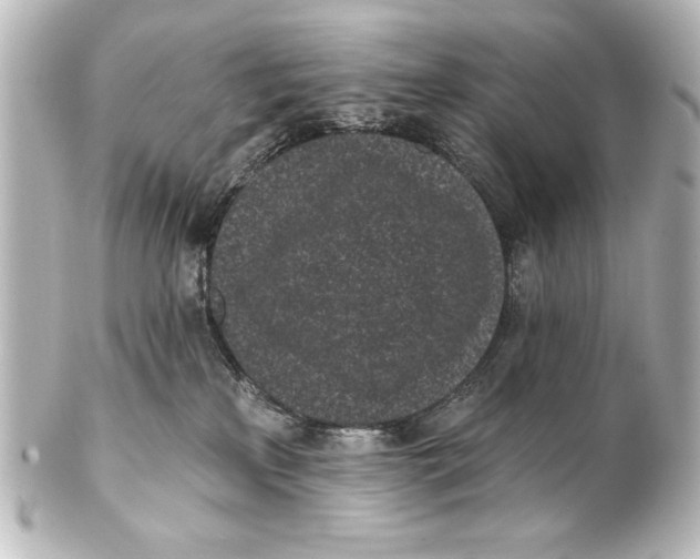 X0000101420233200807280945