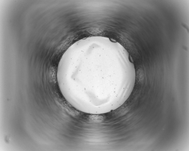 X0000101420234200807280945