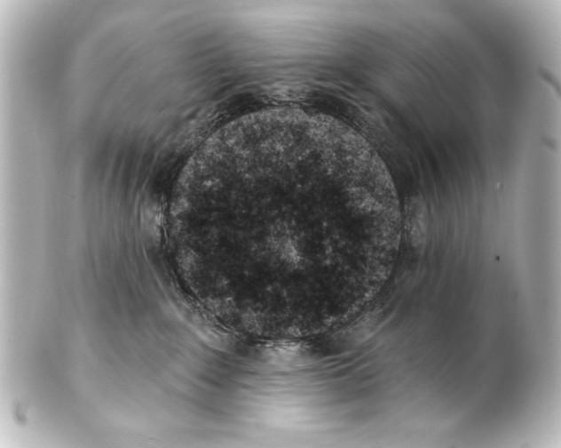 X0000101420235200807280945