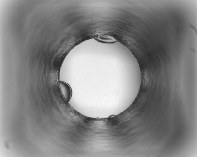 X0000101420236200807280945