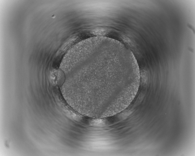 X0000101420237200807280945