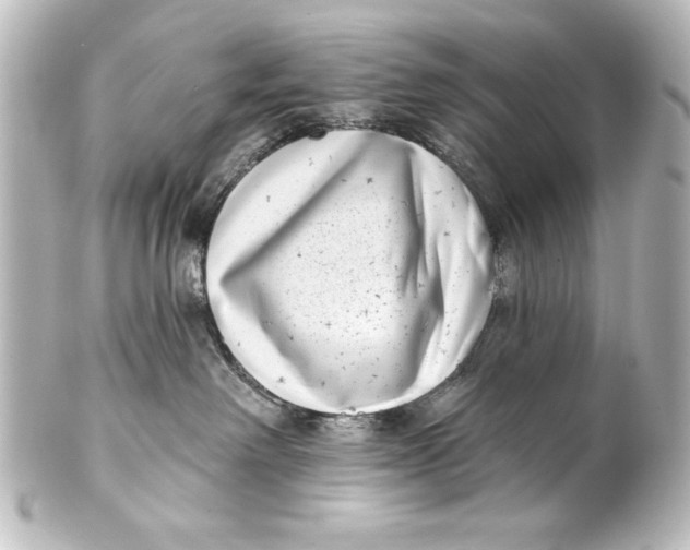X0000101420238200807280945