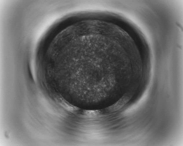 X0000101420239200807280945