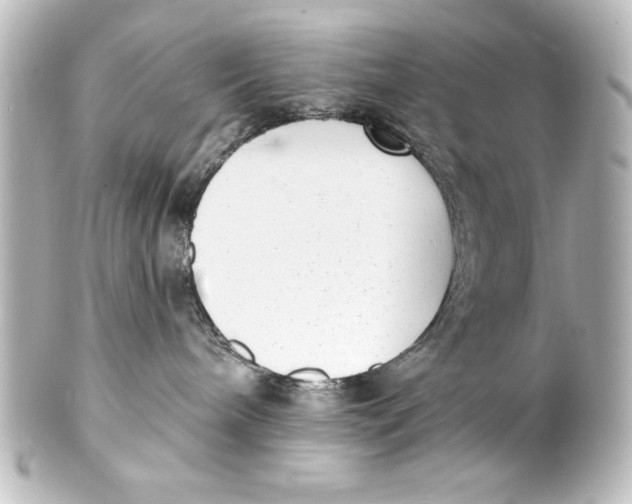 X0000101420240200807280945