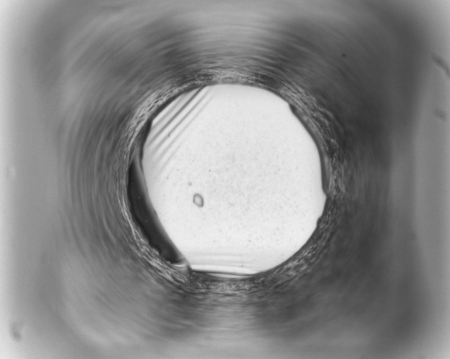 X0000101420241200807280944