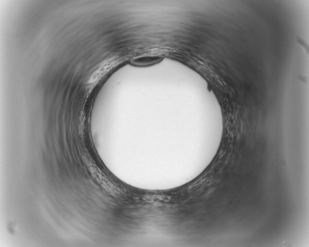 X0000101420242200807280944