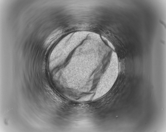 X0000101420243200807280944