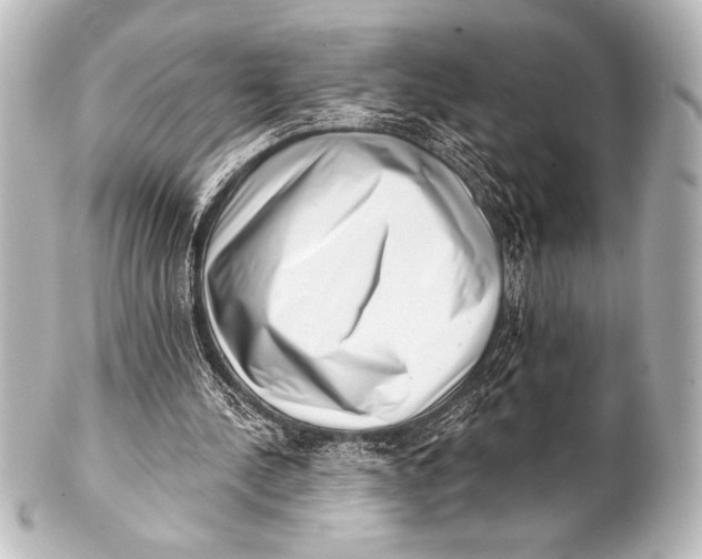 X0000101420244200807280944