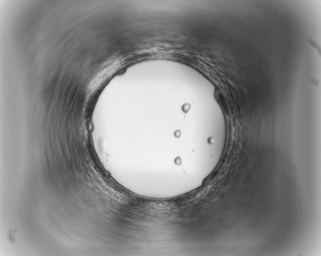 X0000101420245200807280944