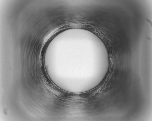 X0000101420246200807280944