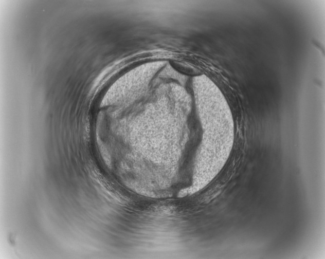 X0000101420247200807280944