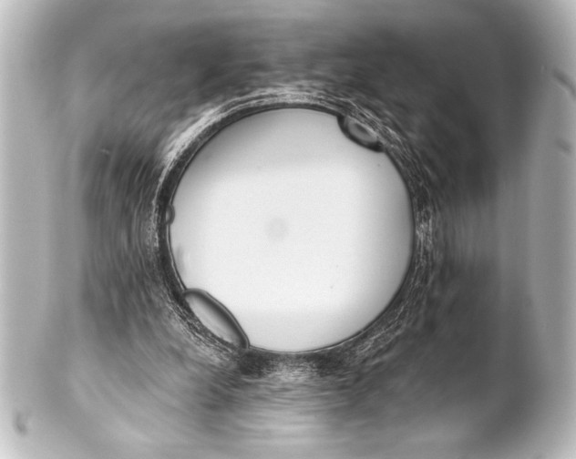 X0000101420248200807280944