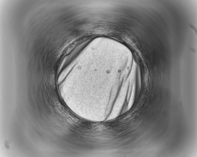 X0000101420249200807280944