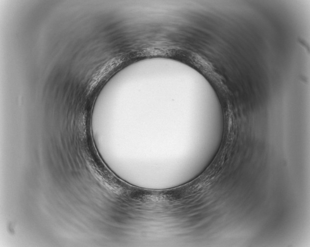 X0000101420250200807280944
