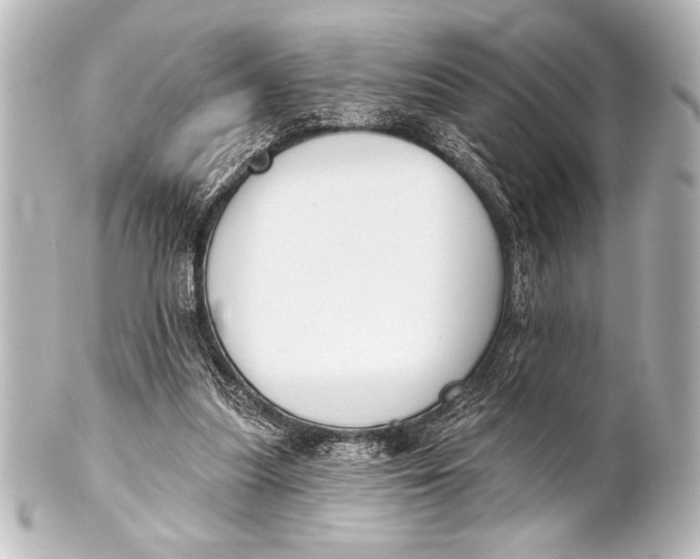 X0000101420251200807280944