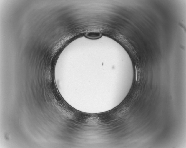 X0000101420252200807280944