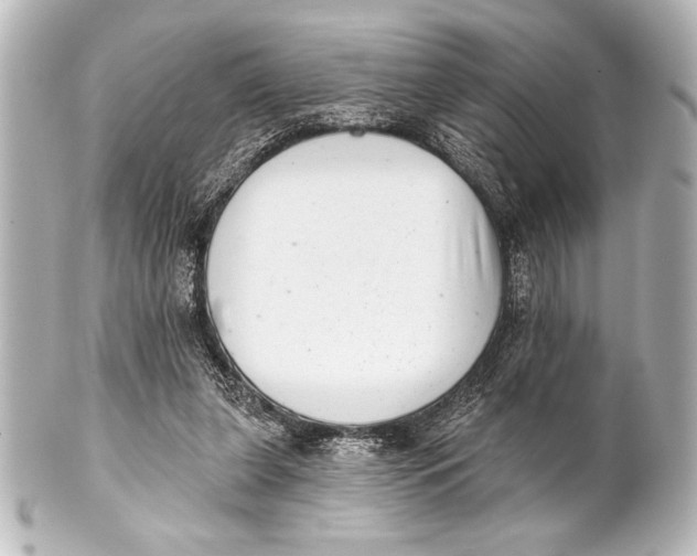 X0000101420255200807280945