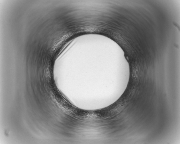 X0000101420256200807280945