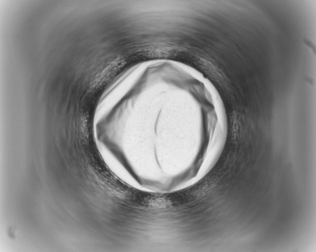 X0000101420258200807280945