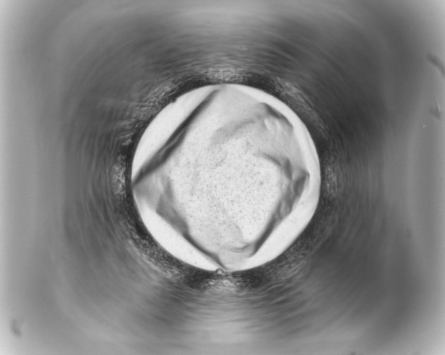 X0000101420259200807280945