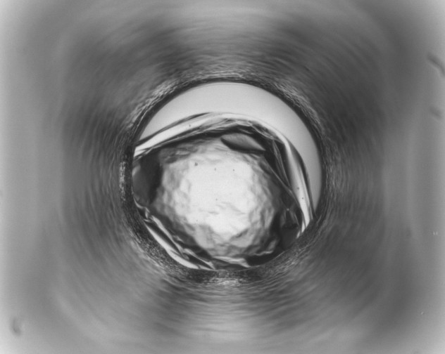 X0000101420260200807280945