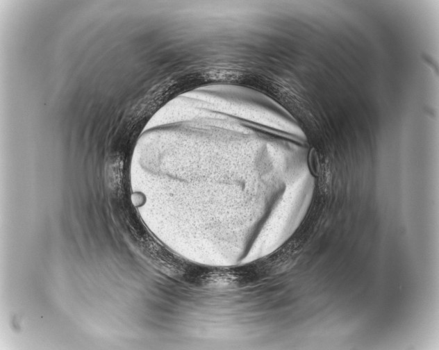 X0000101420263200807280945
