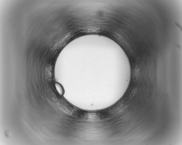X0000101420264200807280945