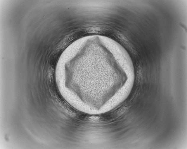 X0000101420265200807280945