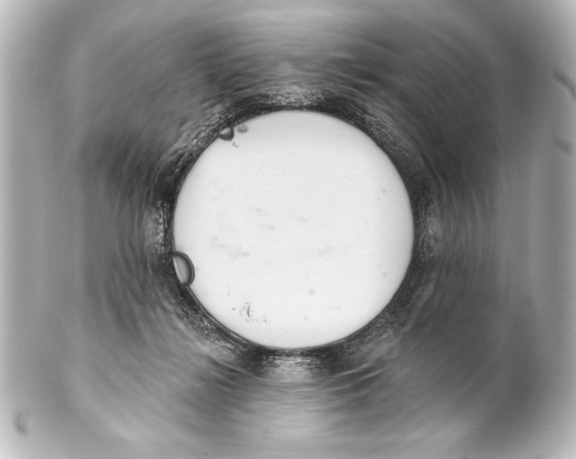 X0000101420268200807280945