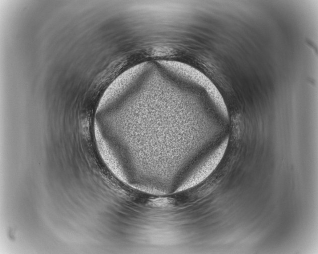X0000101420269200807280945