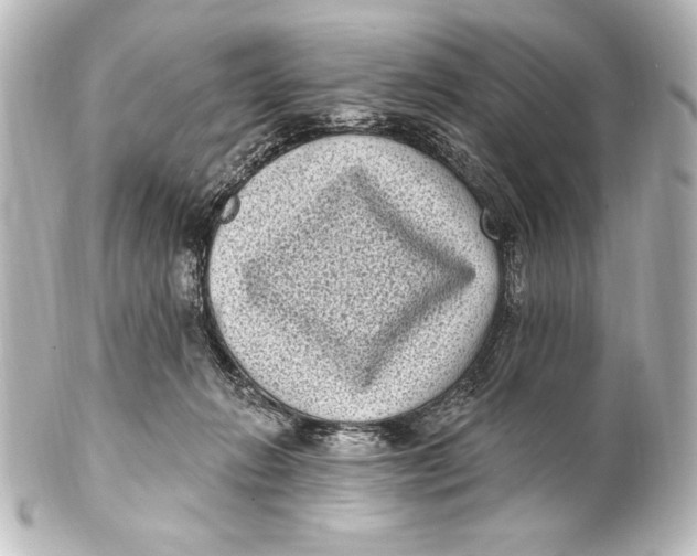 X0000101420270200807280945