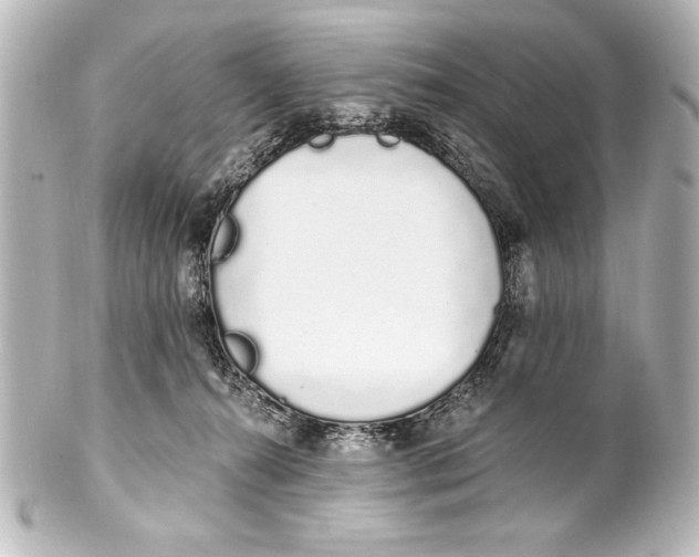 X0000101420272200807280945