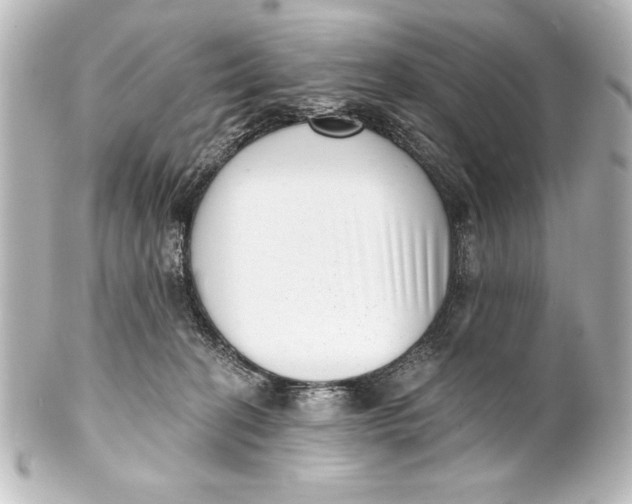 X0000101420274200807280945