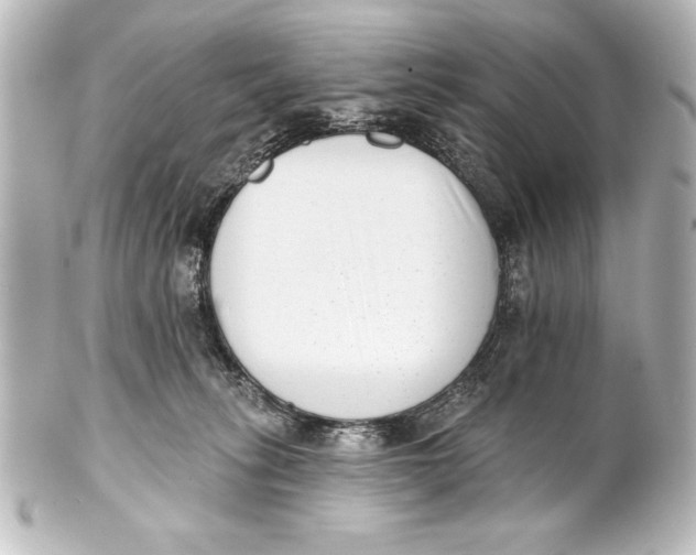 X0000101420275200807280945