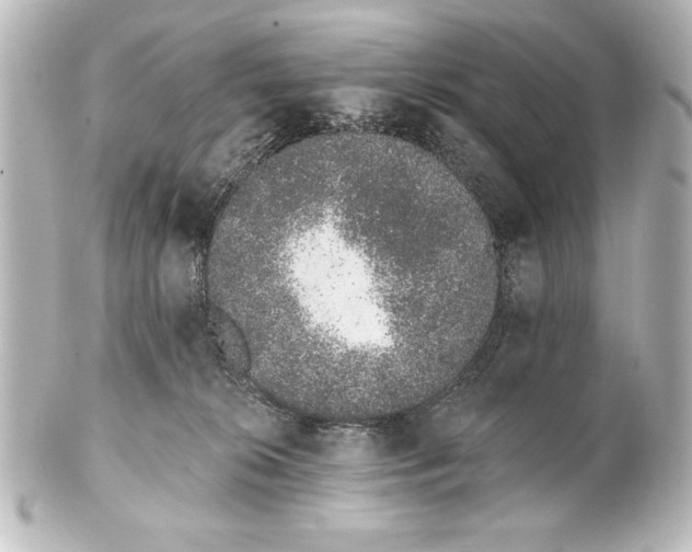 X0000101420276200807280945