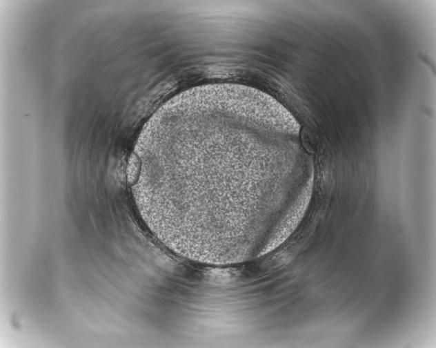 X0000101420277200807280945