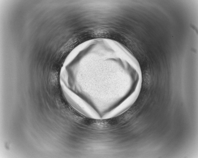 X0000101420278200807280945