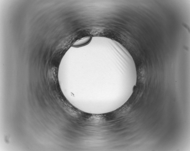X0000101420280200807280945