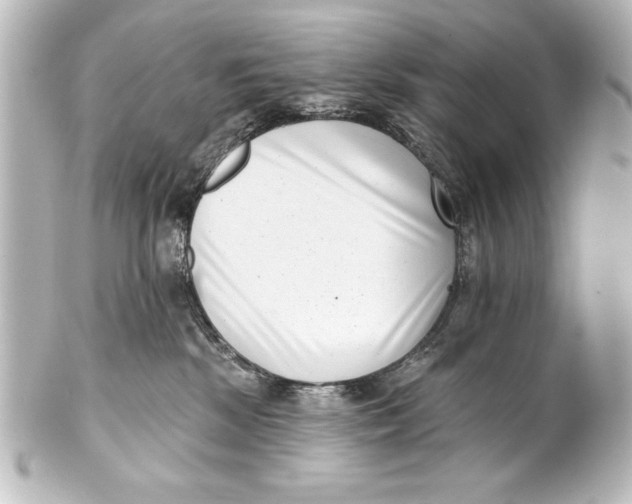 X0000101420281200807280945