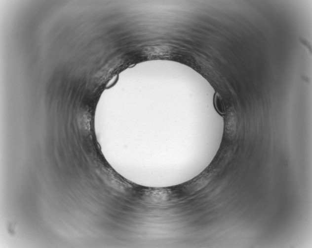 X0000101420282200807280945