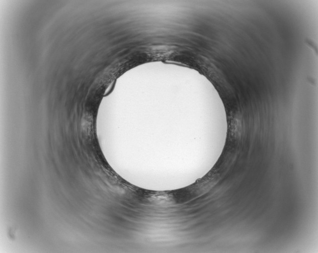 X0000101420283200807280945