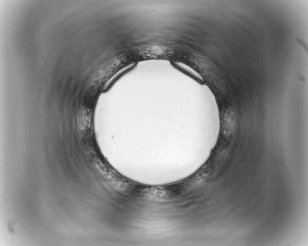 X0000101420284200807280945