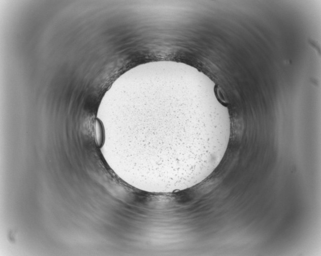 X0000101420286200807280945